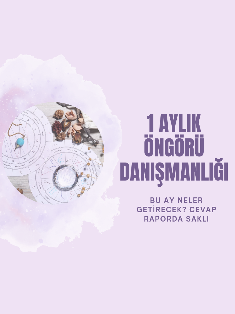 Bir Aylık Öngörü Raporu