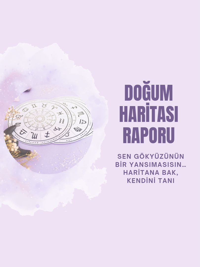Doğum Haritası Raporu
